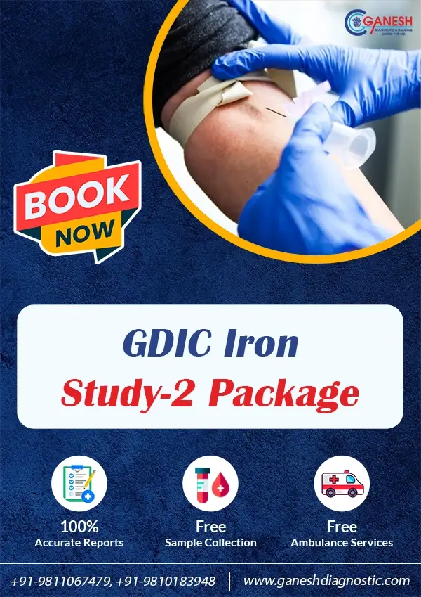 GDIC Iron Study-2 Package